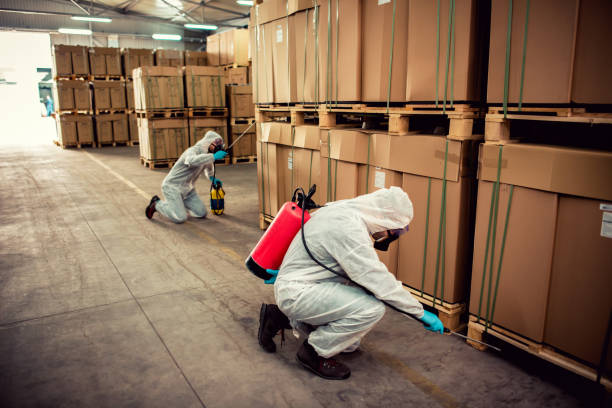 Best Pest Inspection Near Me  in Briar, TX