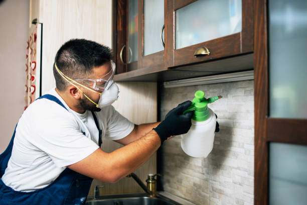 Best Cockroach Control Services  in Briar, TX