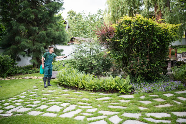Best Residential Pest Control  in Briar, TX