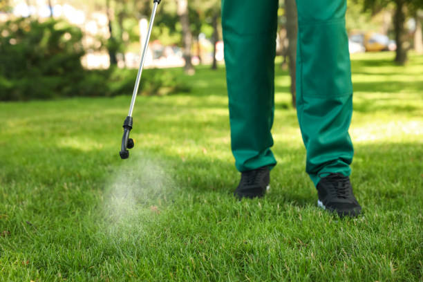 Best Termite Control Services  in Briar, TX