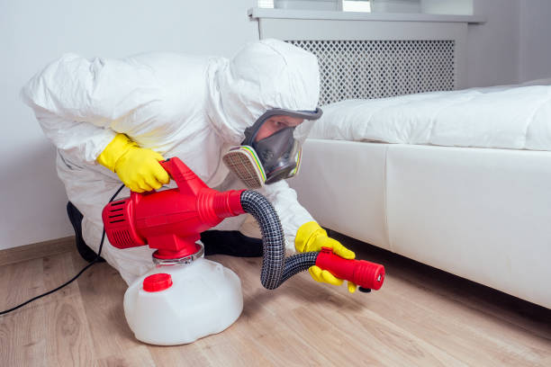 Best Pest Prevention Services  in Briar, TX