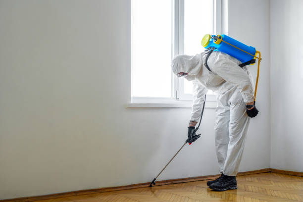 Best Pest Control Treatment  in Briar, TX