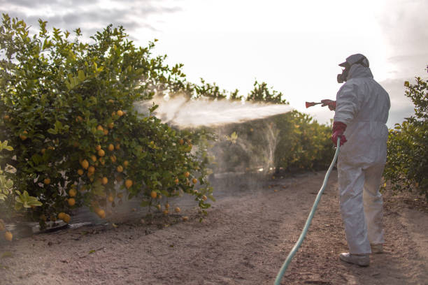 Best Wildlife Control Services  in Briar, TX