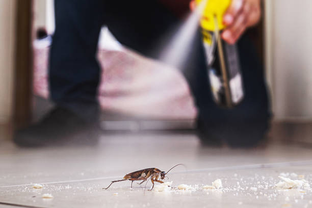 Best Exterminator Services  in Briar, TX