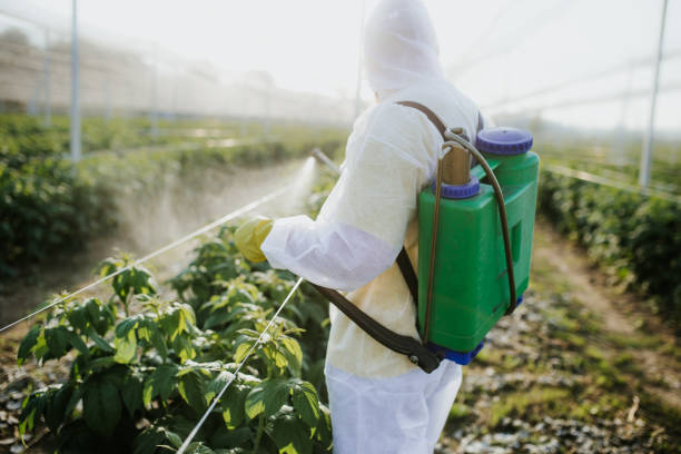 Best Ant Control Services  in Briar, TX